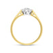 18ct Yellow Gold 0.23ct Diamond Cluster Ring