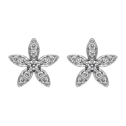 18ct White Gold Diamond Two Piece Gift Set, S146 earrings