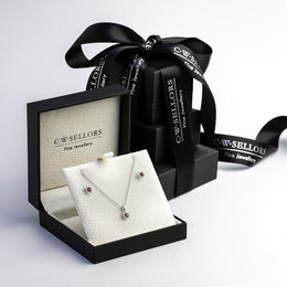 18ct White Gold Ruby Diamond Two Piece Gift Set, S147