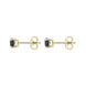 18ct Yellow Gold 1.32ct Sapphire Round Cut Stud Earrings, FEU-1447.