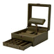 WOLF Earth Watch Stand Box