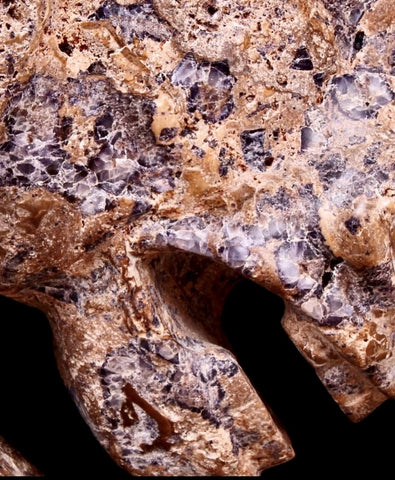 19th Century Sculpture Of Roman Horse Head Carved From Fossiliferous Limestone & Derbyshire Fluorspar