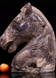 19th Century Sculpture Of Roman Horse Head Carved From Fossiliferous Limestone & Derbyshire Fluorspar