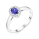 18ct White Gold 0.54 Sapphire 0.16 Diamond 14x1 Oval Claw Centre Grain Cluster Ring