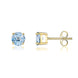9ct Yellow Gold Aquamarine 5mm Round Claw Set Stud Earrings
