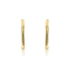 9ct Yellow Gold Small Sleeper Hoop Earrings. 10-05-340.