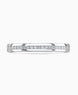 Platinum 0.20ct Diamond Devine Channel Set Half Eternity Ring