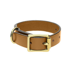 Chatsworth The Dog Gold English Leather Brass Buckle 2cm Collar G925