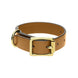 Chatsworth The Dog Gold English Leather Brass Buckle 2cm Collar G925