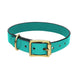 Chatsworth The Dog Turquoise English Leather Brass Buckle 2.5cm Collar G930