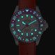 Davosa Ternos GMT Lucent Grey Red Red Rubber Watch Luminated