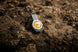 Doxa Sub 200 Divingstar Stainless Steel Bracelet Watch