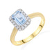 18ct Yellow and White Gold 0.83ct Aquamarine and 0.18ct Diamond Ecut Centre Cluster Ring