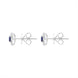 18ct White Gold Sapphire Diamond Round Cut Star Cluster Stud Earrings