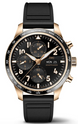IWC Watch Pilot’s Performance Chronograph 41mm Black IW388309