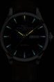 Ball Watch Company Trainmaster Eternity Watch with blue dial, crocodile strap, steel case
