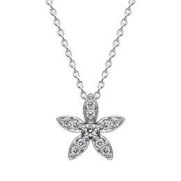 18ct White Gold Diamond Two Piece Gift Set, S146