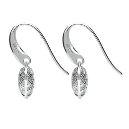 Sterling Silver Cubic Zirconia Heart Hook Drop Earrings E2025