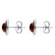Sterling Silver Amber Round Rope Framed Stud Earrings. E2346.