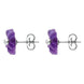 Sterling Silver Amethyst Tuberose Daisy Stud Earrings, E2161.