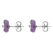 Sterling Silver Amethyst Tuberose Gypsophila Stud Earrings, E2157.