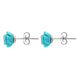 Sterling Silver Turquoise Tuberose Rose Stud Earrings, E2151.