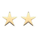 Sterling Silver Yellow Gold Vermeil Star Stud Earrings, E2481.