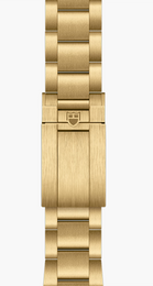 TUDOR Black Bay 58 18k Watch