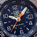 Luminox Navy Seal Foundation Back To The Blue