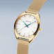 Bering Classic Unisex Watch