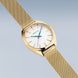Bering Classic Unisex Watch