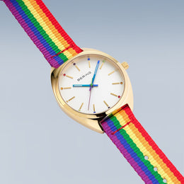 Bering Classic Unisex Watch