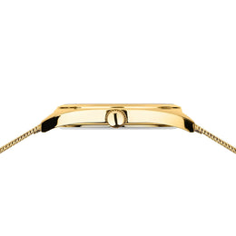 Bering Classic Unisex Watch