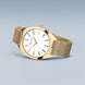 Bering Classic Unisex Watch