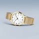 Bering Titanium Ladies Watch