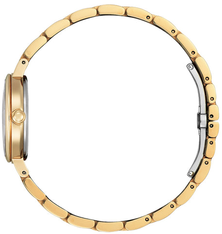 Citizen Eco Drive Ladies Watch