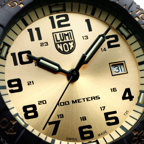 Luminox Leatherback Sea Turtle Giant 0320 Series Watch XS.0325.GP - detail view
