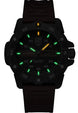 Luminox Master Carbon Seal 3860 Series Limited Edition