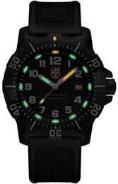 Luminox Navy SEAL 4230 Series Watch