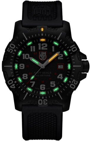 Luminox Navy SEAL 4230 Series Watch XS.4231.SET - detail view