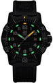 Luminox Navy SEAL 4230 Series Watch XS.4231.SET - detail view