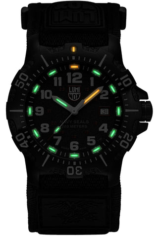 Luminox Navy SEAL 4230 Series Watch XS.4231.SET - detail view