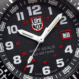 Luminox Navy SEAL 4230 Series Watch XS.4231.SET - detail view