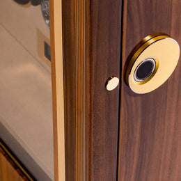 Rapport Watch Winder Paramount 12 Walnut¬†