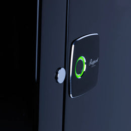 Rapport Watch Winder Paramount 20 Ebony