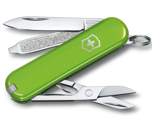 Victorinox Small Pocket Knife Classic SD Smashed Advocado 0622343G
