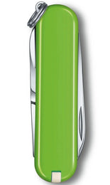 Victorinox Small Pocket Knife Classic SD Smashed Advocado
