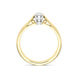 18ct Yellow Gold 0.30ct Diamond Platinum Claw Set Solitaire Ring DR8CWS