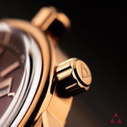 Alpina Watch Seastrong Diver Heritage