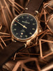 Meistersinger Watch N.03 Bronze Line